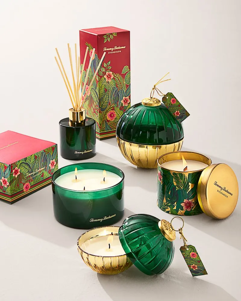 Tommy Bahama 14.5-oz. Boxed 3-Wick Candle Evergreen Outlet